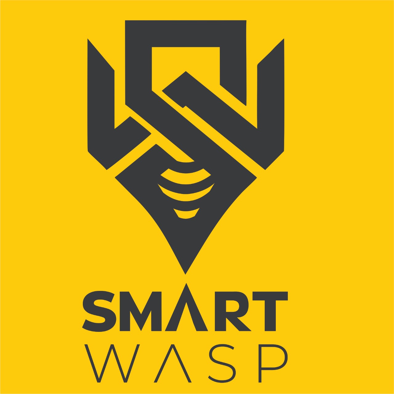 smart wasp